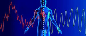 Heart rate and energy waveform graphic representing meditation and coherence
